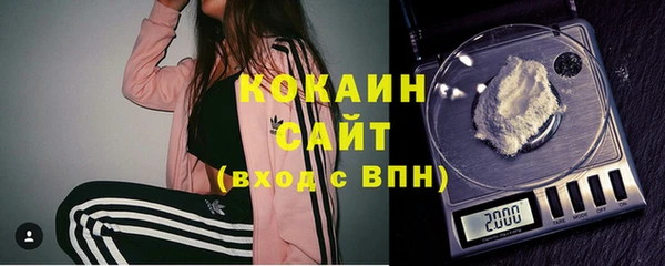 2c-b Инсар