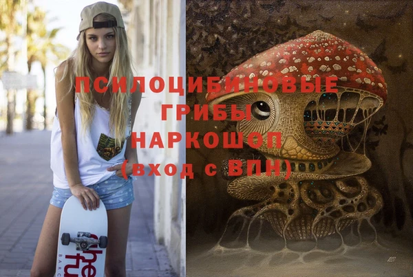 дмт Абаза